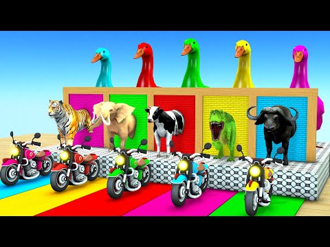 5 Giant Duck Cow Elephant Buffalo Tiger T Rex Wild Animals Crossing Fountain funny Animal Game 2024