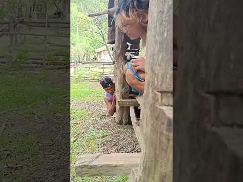 Prank Funny Video
