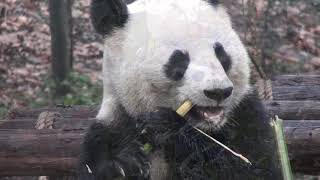 Rundreise China