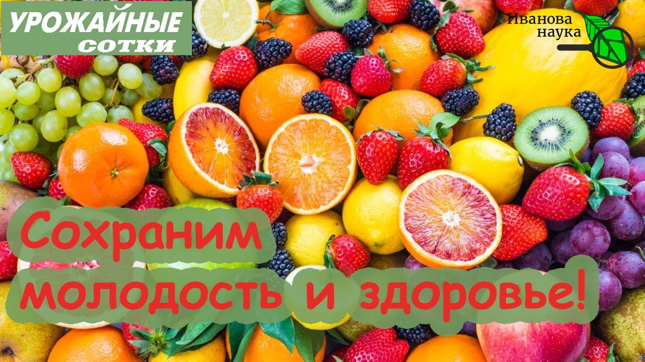 Готовим чудесный лосьон для омоложения и защиты кожи. Приятный цвет лица и комфорт гарантированы!