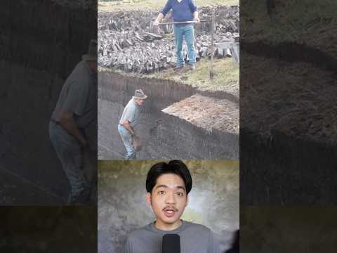 เชื้อเพลิง 1000 ปี ￼