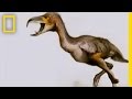 Genetic Toolkit and Evolution Quiz