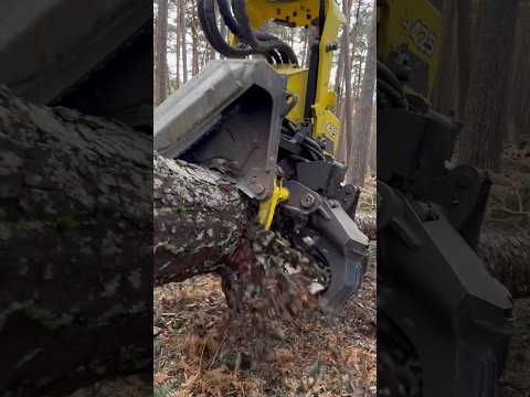 John deere harvester 1270g in the forest #harvester #johndeere #wood #tree #farming #viral #trending