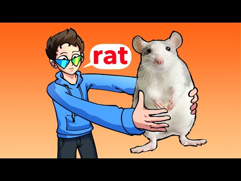 I Shook A Rat