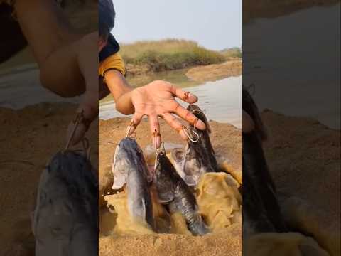 Có ngày cá đớp mấy ngón tay #fishing #short