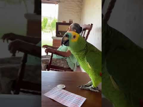 Abuela nos ganamos la loteria