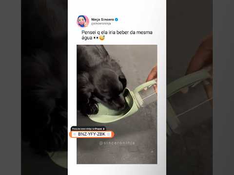 Gostou? Link na BIO - Procure pelo NÚMERO 736 ou NOME do produto na busca | memes | brasil | pets