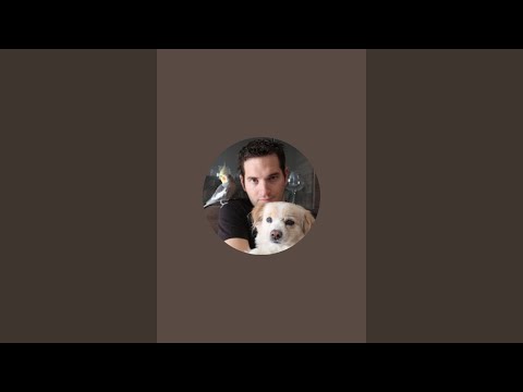 ¡Mascotas y Animales del Mundo está emitiendo en directo!