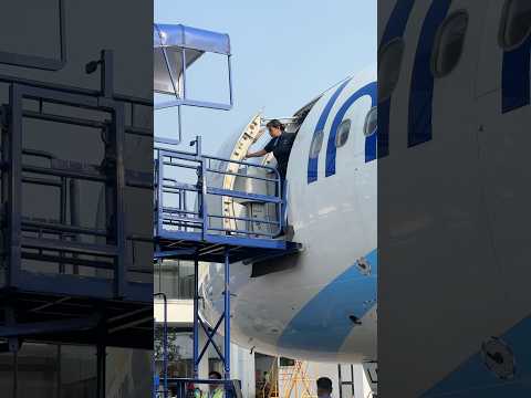 Cabincrew opening the L1 door #cabincrew #ramp #aviation