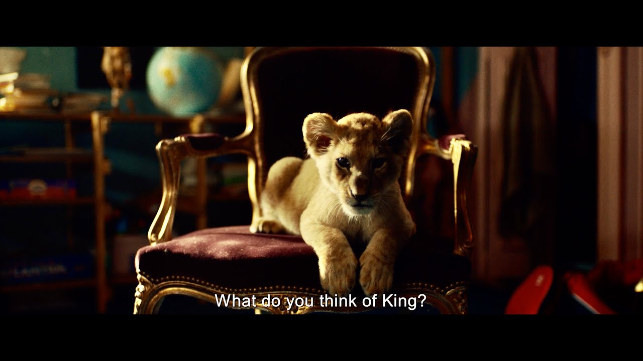 King: Mój przyjaciel lew Miniatura Zwiastunu
