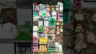 ¡El CEMENTERIO más COLORIDO del Mundo! 🎨🇬🇹
