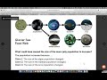 Population Dynamics and Ecosystem Interactions