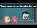 Understanding Frequency and Voice Differences