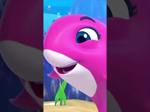 เรียนรู้สีกับเบบี้ชาร์คเพลงshortskidslearncolorswithbabyshar Boom Buddies Thailand - เพลง สําหรับ เด็ก เรียนรู้สีกับเบบี้ชาร์คเพลงshortskidslearncolorswithbabyshar