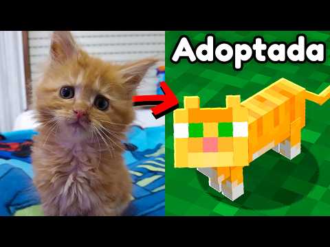 Adopté a Estas Gatas y Las Añadí a mi Mundo de Minecraft!