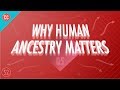 Crash Course Big History: Human Ancestry and Genealogy