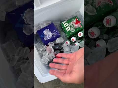a maneira CERTA de organizar um COOLER 🧊🍹✨ | #Shorts