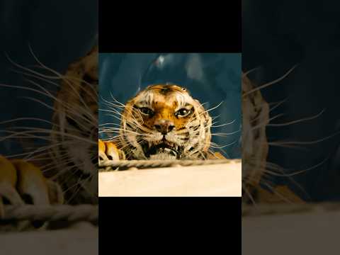 The Tiger in the Sea#shortvideo #shorts #trending #viralvideo #adventure