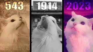 Cat MEOW in different years