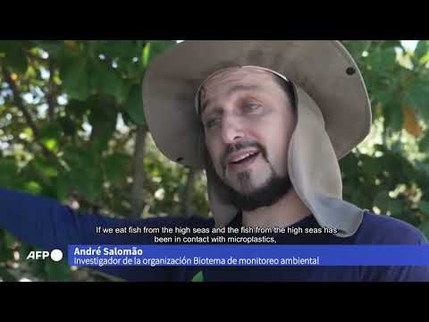 Noticiero Científico Cultural Iberoamericano - NCC 749
