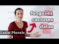 Mastering Latin Plurals in English
