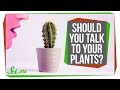 The Science of Talking to Plants