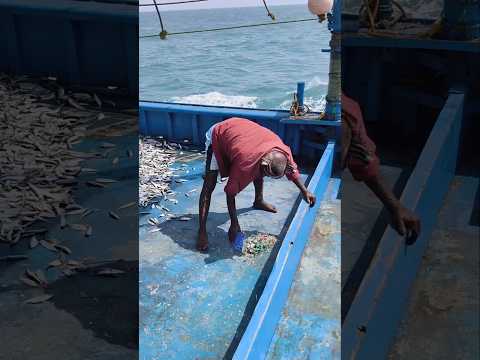 Never Throw Garbage Into The Sea. #shorts