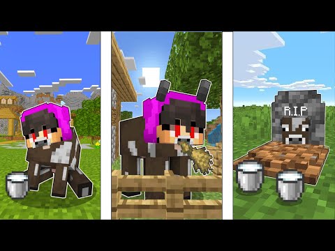 🖤BIRTH TO DEATH as COW in Minecraft