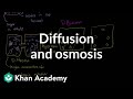 Exploring Diffusion and Osmosis in Cellular Transport