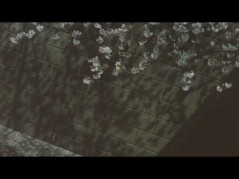 อีกสักกี่ครั้ง - STAMP [ Official Audio ]