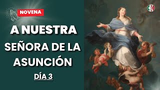 3er Día de la Novena a la Virgen de la Asunción 🙏✨