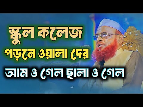 স্কুল কলেজে পড়ে আম ও গেল ছালা ও গেল নুরুল ইসলাম ওলিপুরী/নুরুল ইসলাম ওলিপুরী ওয়াজ/olipuri waz ll