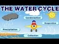Exploring the Water Cycle: Key Phases and Processes