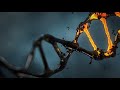 Natural Selection and Selective Breeding