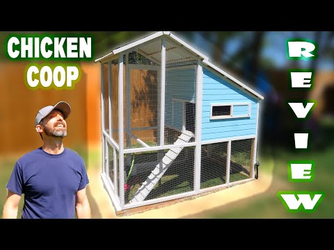 Coupon For Chicken Coop At Tractor Supply 01 2022 Coupon For Chicken Coop At Tractor Supply 01 2022