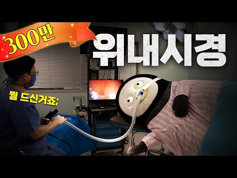 펭수 위내시경 검사 최초공개(진짜로 함)  [EP.245](ENG)