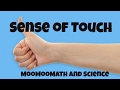 Understanding the Sense of Touch