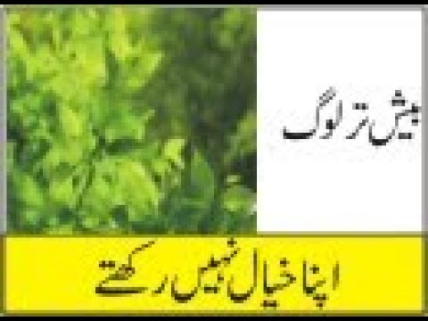 tips by hakeeem nasir iqbal