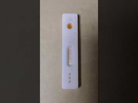 #pregnancytest#cute 🤰🤞🥰#baby#testy#pregnancybyfaith#mbbs#viralvideo #youtube#trending#viraltest
