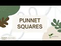 Genetic Predictions and Punnett Squares