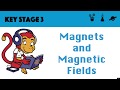 Magnetism and Magnetic Fields Concepts