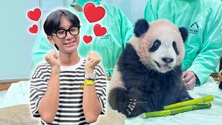 AKHIRNYA KETEMU! BAYI PANDA YANG LAGI VIRAL - Superduper Ziyan