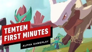 Gameplay and Start of TemTem Video Pick Your Pronouns