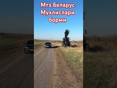 Трактор МТЗ беларус #automobile #avto #farming #autoindustriya #юмор #duet #тикток #rek #agriculture