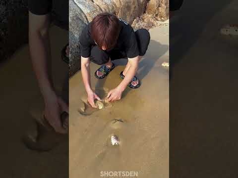 समुंदर के किनारे कीमती केकड़ा ~ #ytshorts #shorts #shortsvideo