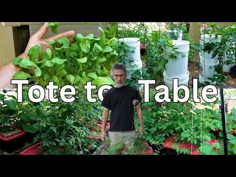 Secret Gardening Hack Big Ag Doesn’t Want You to Know!