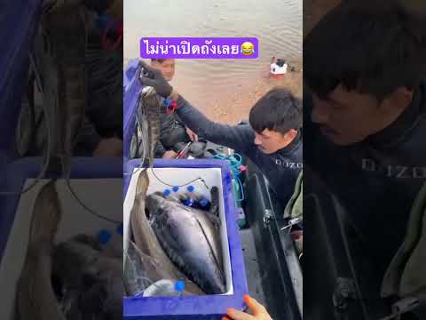 ไม่น่าเปิดถังเลย😂😂 #ยศภิญโญ #fishing #allahﷻallahﷻ #fish #colonelkkjϟ #automobile #carpfishing