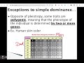 Exploring Non Mendelian Genetics Concepts