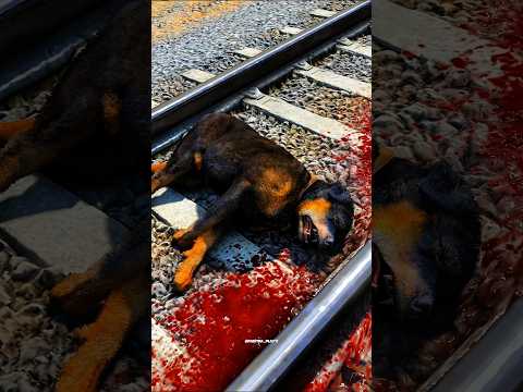 😰 Little Singham Saved His Pet Dog 🐶 From Train #shorts #littlesingham #viral