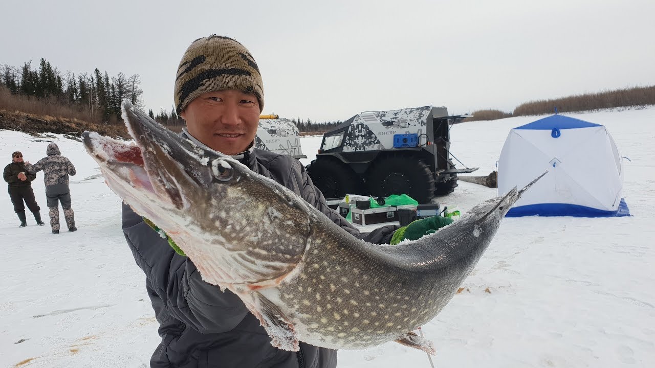 Приключения ШЕРП в Якутии -рыбалка 3 часть/ Аdventure of Sherp in fishing -3 p